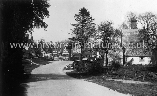 The High Street, and Blue Bell Inn, Hempstead, Essex. c.1910